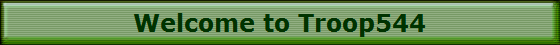 Welcome to Troop544