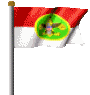 Troop Flag