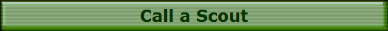 Call a Scout